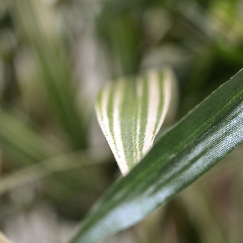 Pianta artificiale Royal Bamboo 70 cm - variegata