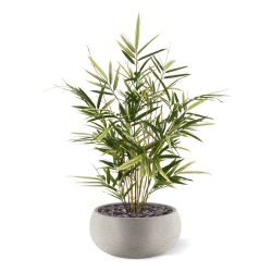 Pianta artificiale Royal Bamboo 70 cm - variegata