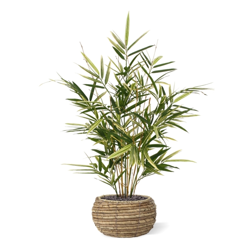 Pianta artificiale Royal Bamboo 70 cm - variegata