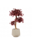 Albero artificiale Acer Bonsai 95 cm - bordeaux
