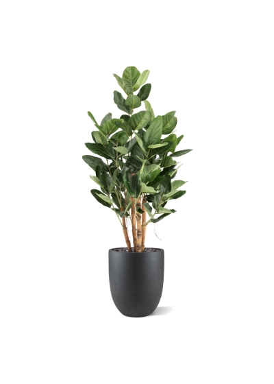 Ficus Audrey Deluxe Artificiale 120cm