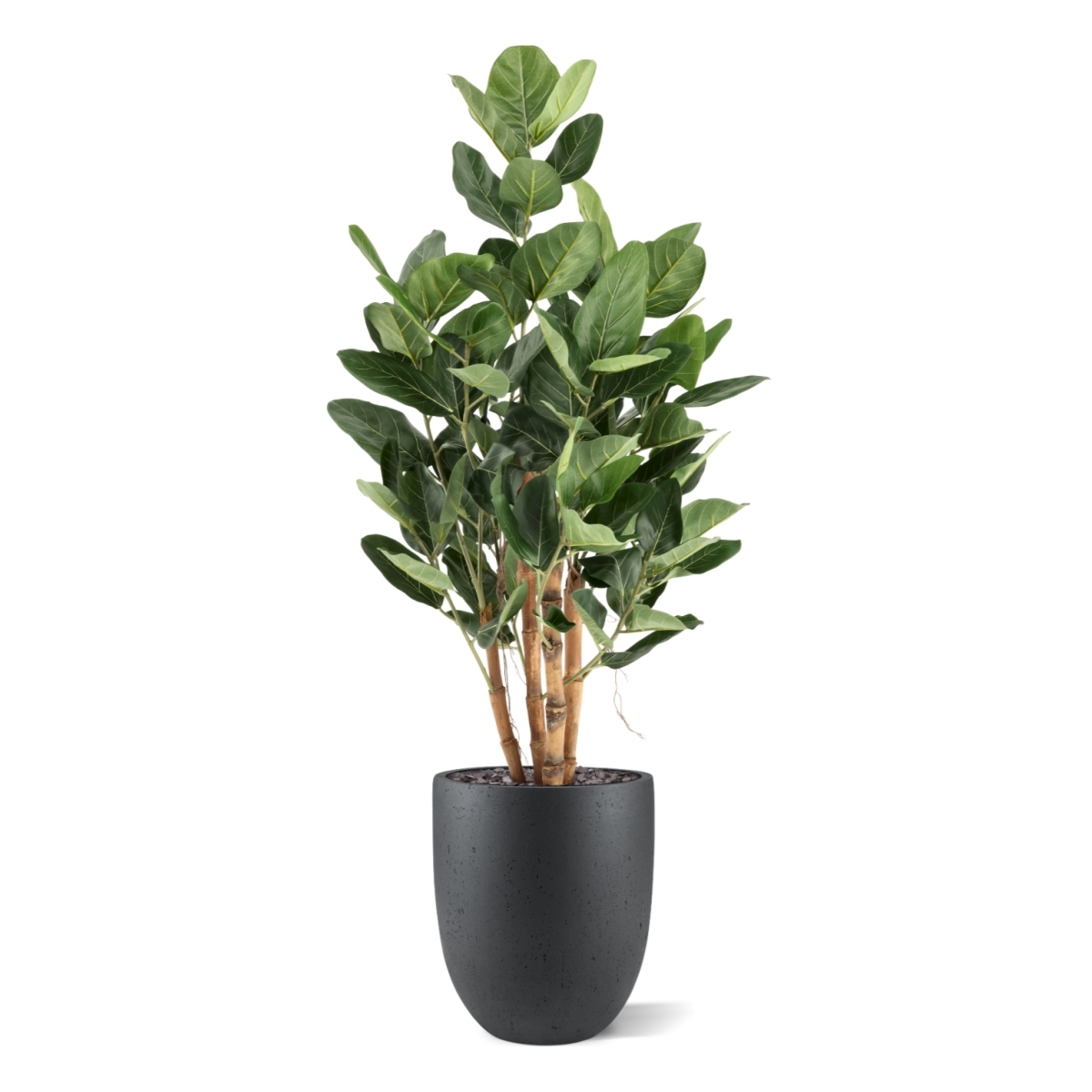 Ficus Audrey Deluxe Artificiale 120cm