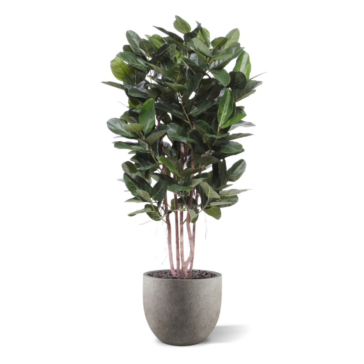 Ficus Audrey Colonna Deluxe Artificiale 155cm