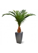 Canarie Phoenix palma artificiale deluxe 210 cm
