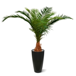 Canarie Phoenix palma artificiale deluxe 210 cm
