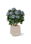 Ortensia Artificiale UV Deluxe 80cm Blu