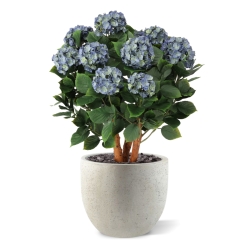 Ortensia Artificiale UV Deluxe 80cm Blu