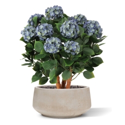 Ortensia Artificiale UV Deluxe 80cm Blu