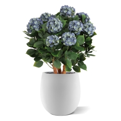 Ortensia Artificiale UV Deluxe 80cm Blu