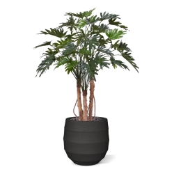 Pianta artificiale Philo Xanadu Deluxe 120cm su tronco