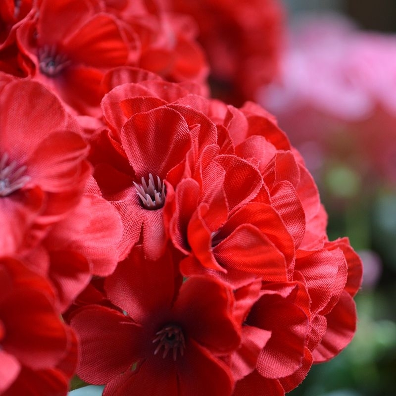 Geranio artificiale in vaso 40cm - rosso
