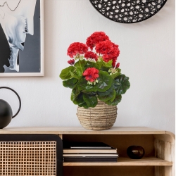 Geranio artificiale in vaso 40cm - rosso