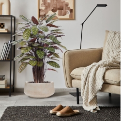 Calathea Makoyana Rosso artificiale Deluxe 115cm