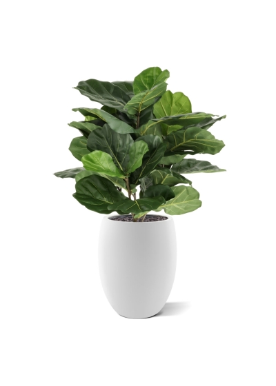 Lyrata Artificiale 90cm in vaso