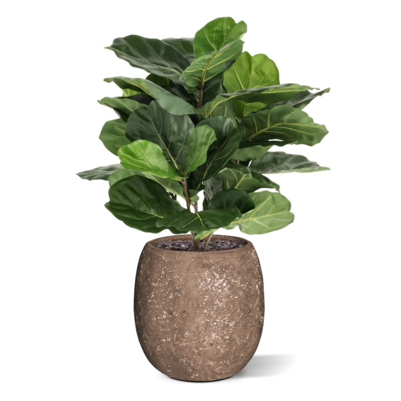 Lyrata Artificiale 90cm in vaso