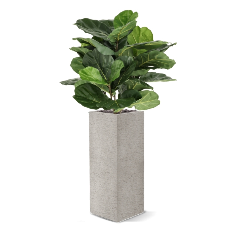 Lyrata Artificiale 90cm in vaso