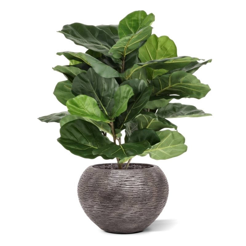 Lyrata Artificiale 90cm in vaso