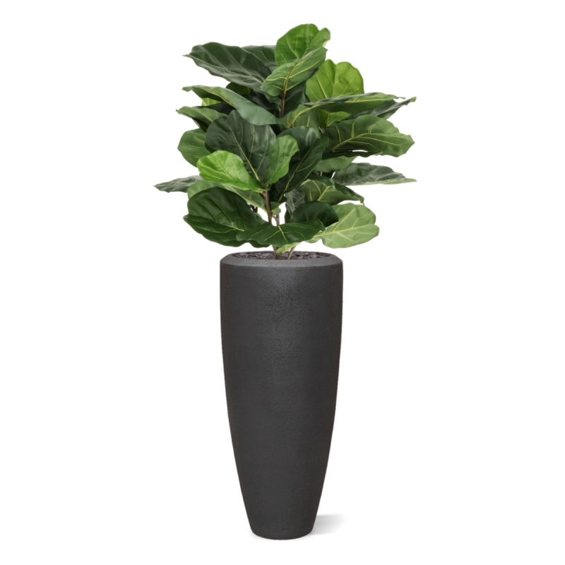 Lyrata Artificiale 90cm in vaso