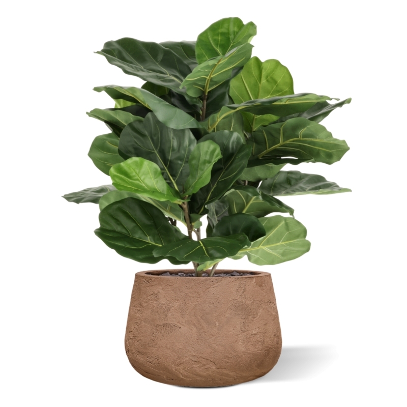 Lyrata Artificiale 90cm in vaso