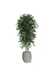 Albero artificiale Ficus Exotica deluxe 210 cm - verde