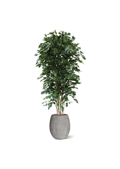 Albero artificiale Ficus Exotica deluxe 210 cm - verde