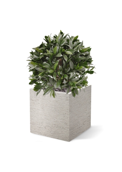 Pianta artificiale di alloro a bulbo 55 cm - resistente ai raggi UV
