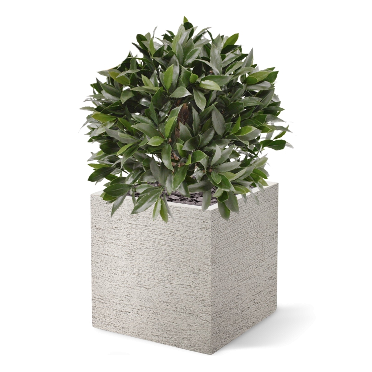 Pianta artificiale di alloro a bulbo 55 cm - resistente ai raggi UV