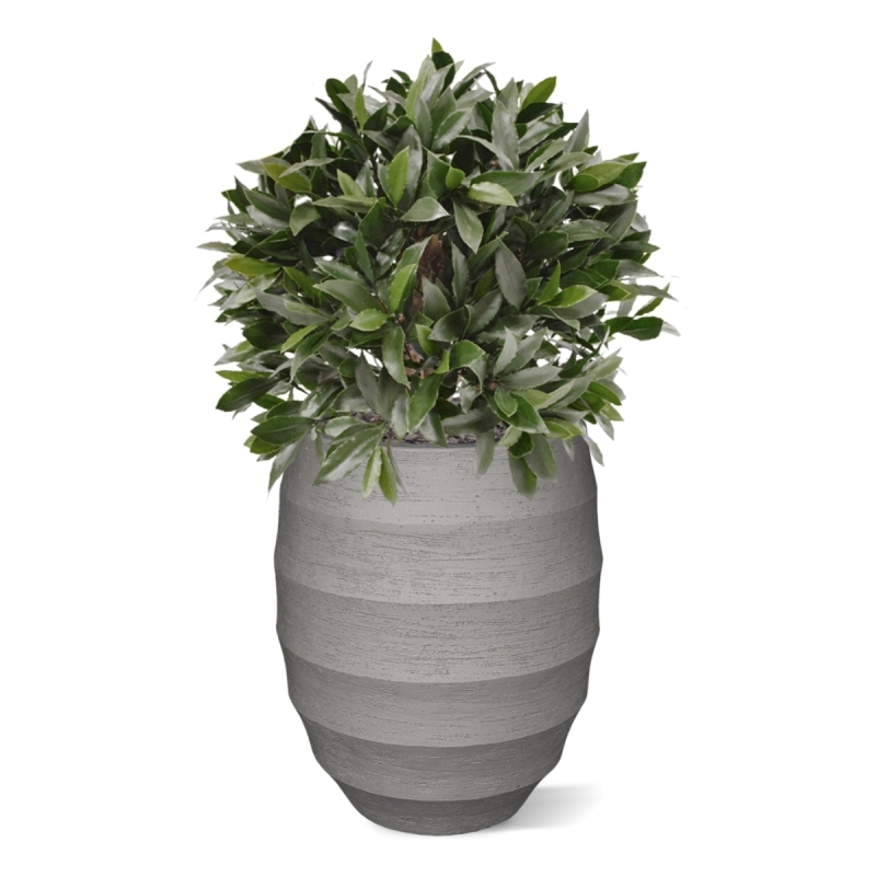 Pianta artificiale di alloro a bulbo 55 cm - resistente ai raggi UV