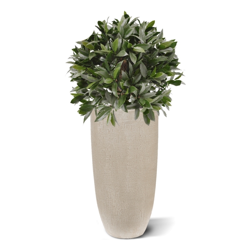 Pianta artificiale di alloro a bulbo 55 cm - resistente ai raggi UV