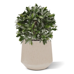 Pianta artificiale di alloro a bulbo 55 cm - resistente ai raggi UV