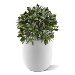 Pianta artificiale di alloro a bulbo 55 cm - resistente ai raggi UV