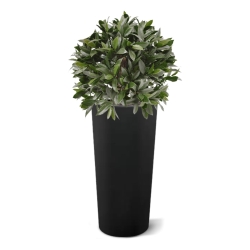 Pianta artificiale di alloro a bulbo 55 cm - resistente ai raggi UV