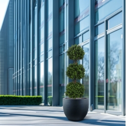 Bosso bulbo deluxe x3 pianta artificiale 175cm - resistente ai raggi UV