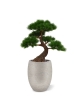 Pinus Bonsai x5 deluxe pianta artificiale su base 80cm - resistente ai raggi UV