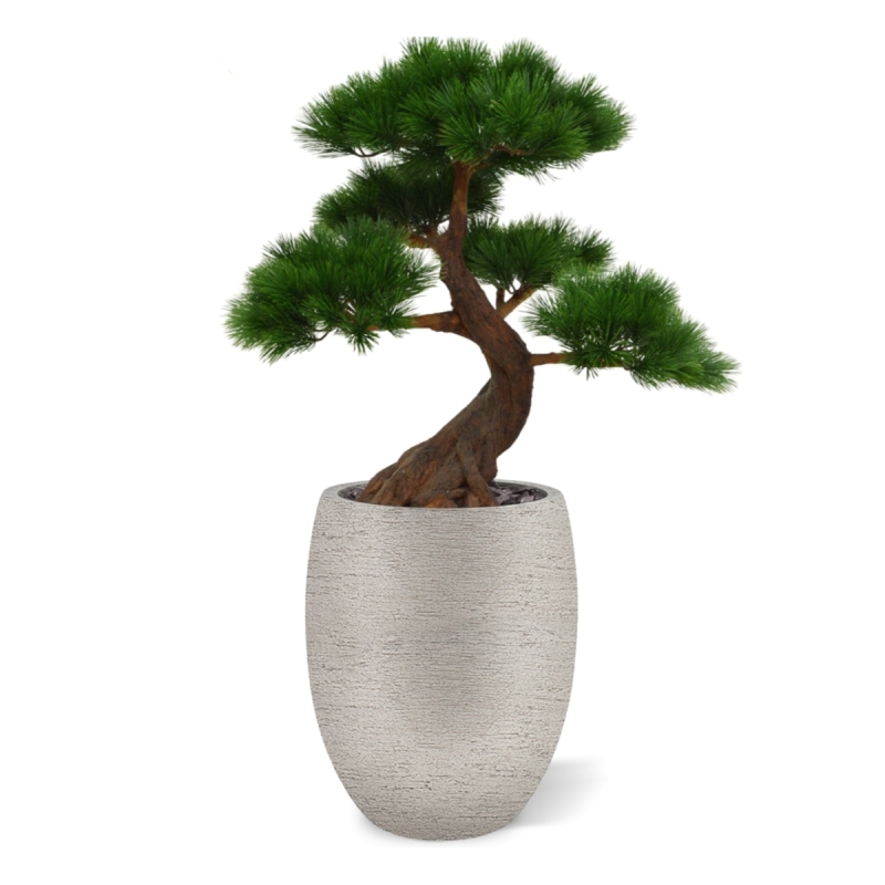Pinus Bonsai x5 deluxe pianta artificiale su base 80cm - resistente ai raggi UV