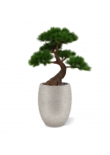 Pinus Bonsai x5 deluxe pianta artificiale su base 80cm - resistente ai raggi UV