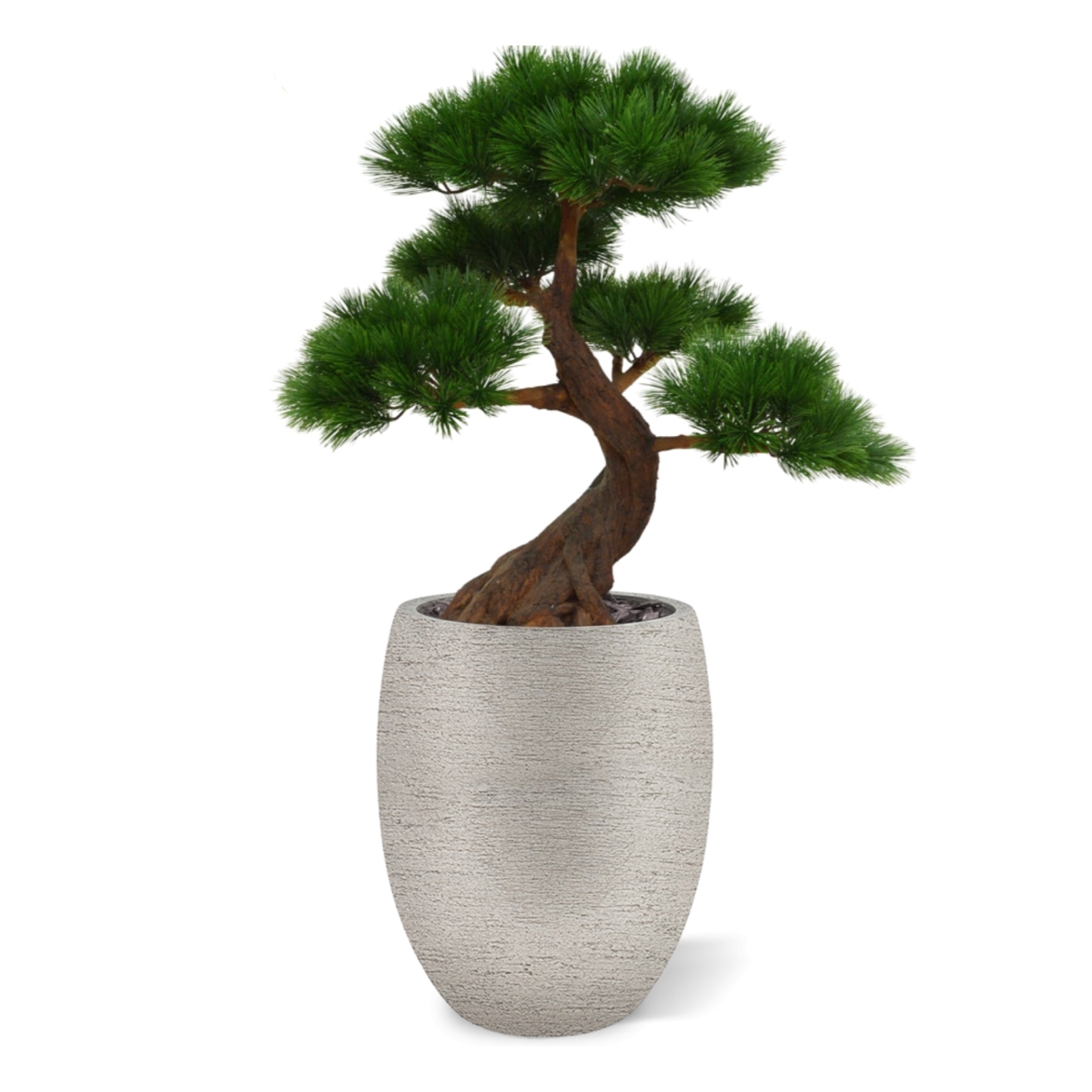 Pinus Bonsai x5 deluxe pianta artificiale su base 80cm - resistente ai raggi UV