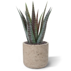 Pianta artificiale di aloe 30 cm in vaso