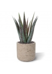 Pianta artificiale di aloe 30 cm in vaso