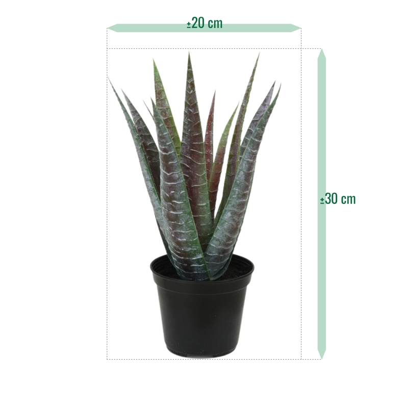 Pianta artificiale di aloe 30 cm in vaso