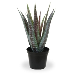Pianta artificiale di aloe 30 cm in vaso