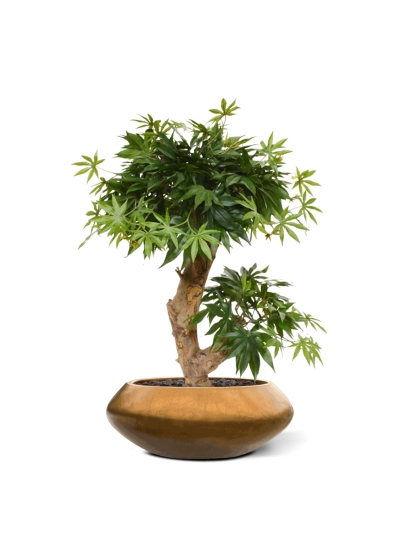 Albero artificiale Acer Bonsai 60 cm - verde