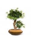 Albero artificiale Acer Bonsai 60 cm - verde