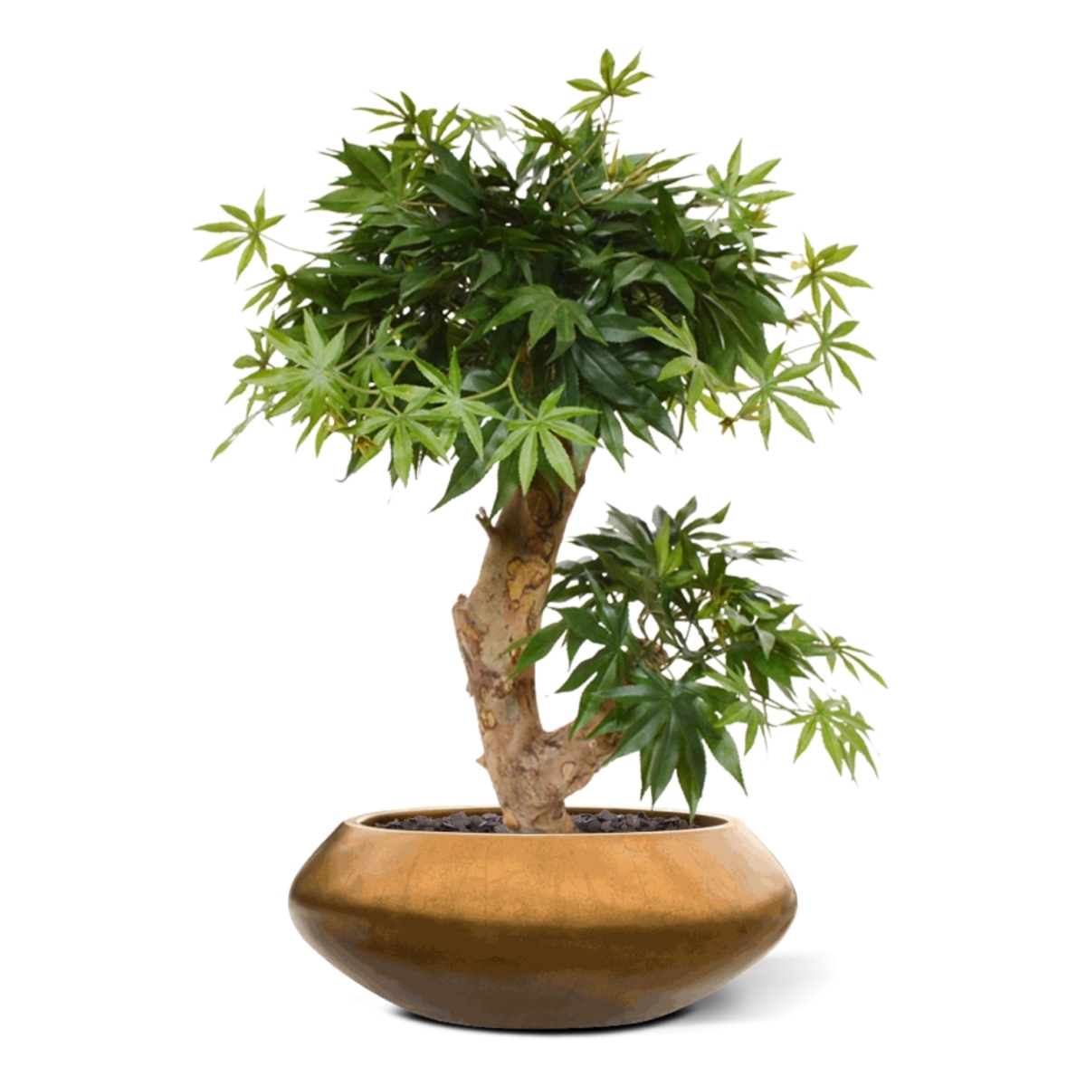 Albero artificiale Acer Bonsai 60 cm - verde
