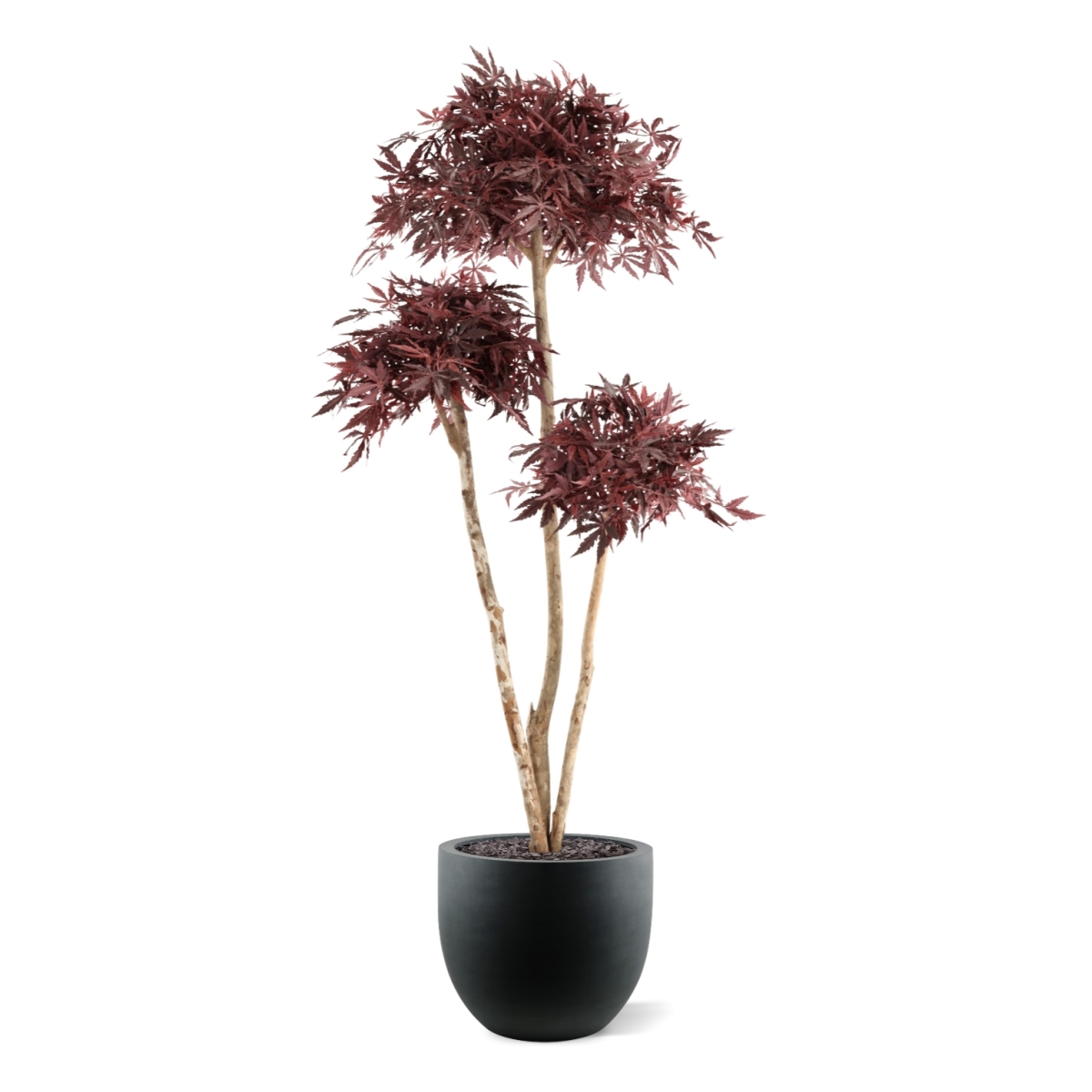Bonsai di Acer Giapponese Deluxe Artificiale 180cm Borgogna