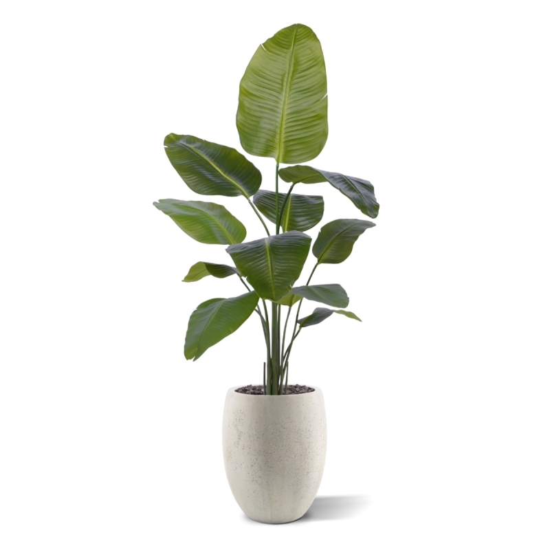 Pianta artificiale di Strelitzia Nicolai 150cm
