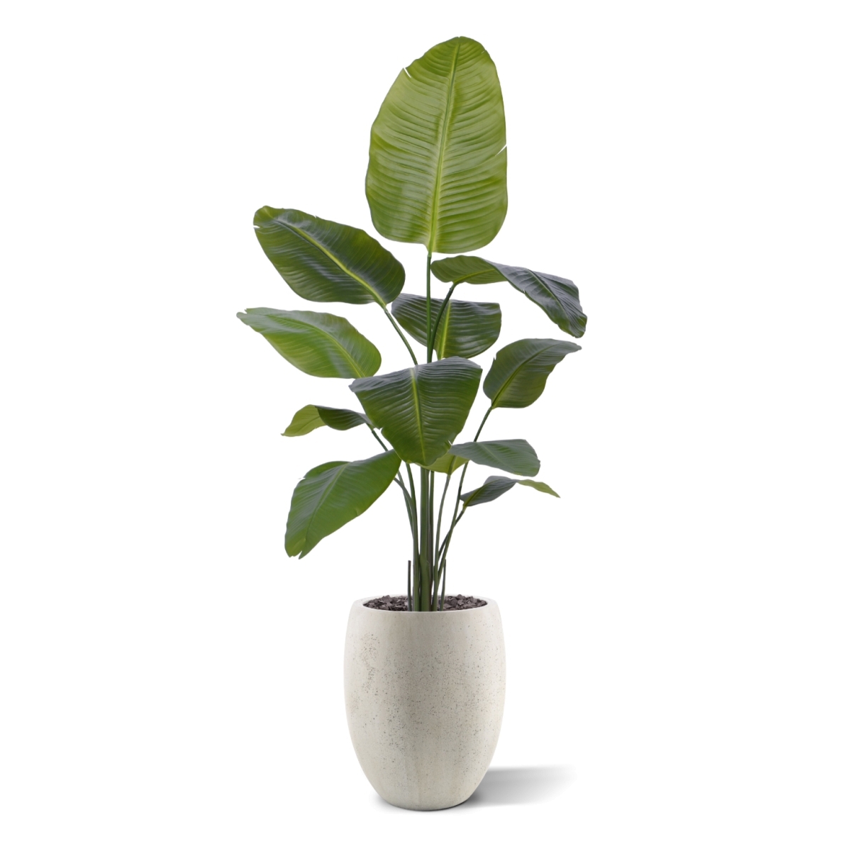 Pianta artificiale di Strelitzia Nicolai 150cm