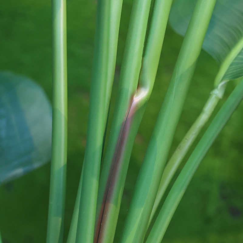 Pianta artificiale di Strelitzia Nicolai 150cm