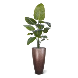 Pianta artificiale di Strelitzia Nicolai 150cm