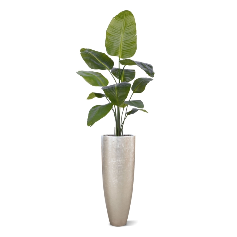 Pianta artificiale di Strelitzia Nicolai 150cm